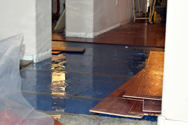 Professional Sewage Cleanup technician working in Falls City, NE